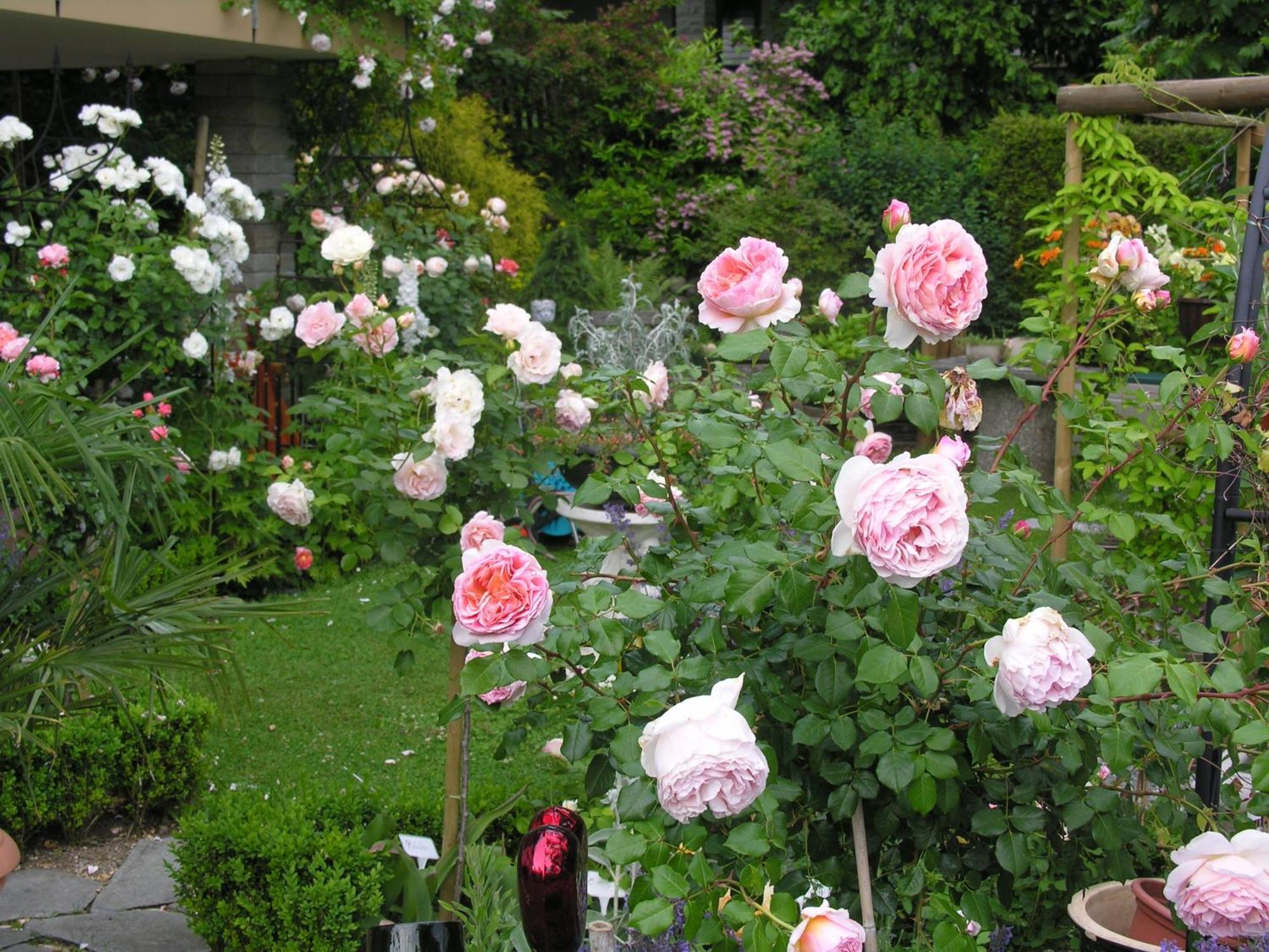 Im Roeseligarten Wolfhausen Екстер'єр фото